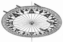 Fig. 3. Ansicht. Fig. 1–3. Hechelmanns Seidenfädenrose.